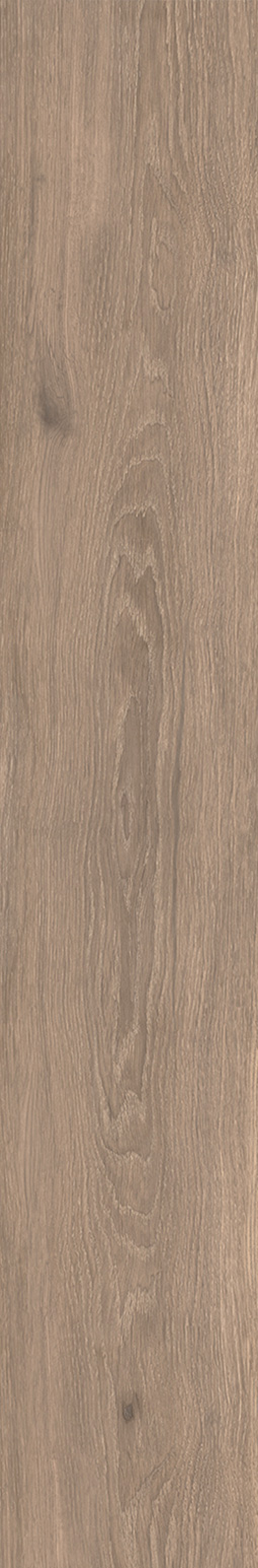 CAESAR-COCOON-EASE-ARCH