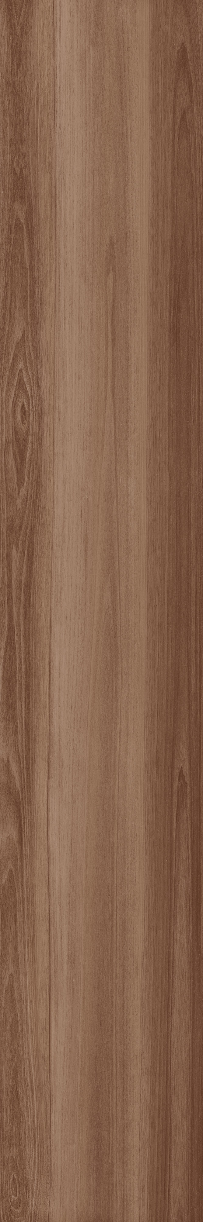 CAESAR LF.WALNUT 20X120 RET