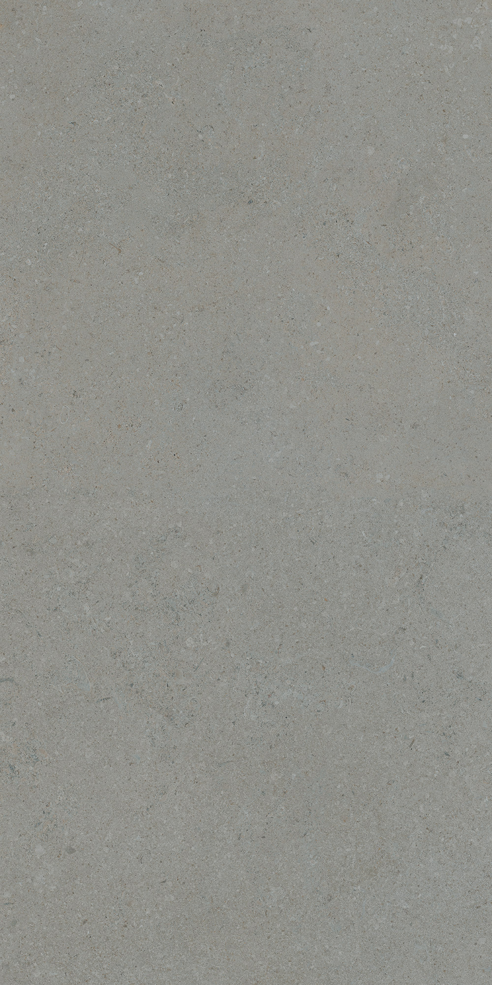 CAESAR PR.GREIGE 30X60 RT8P