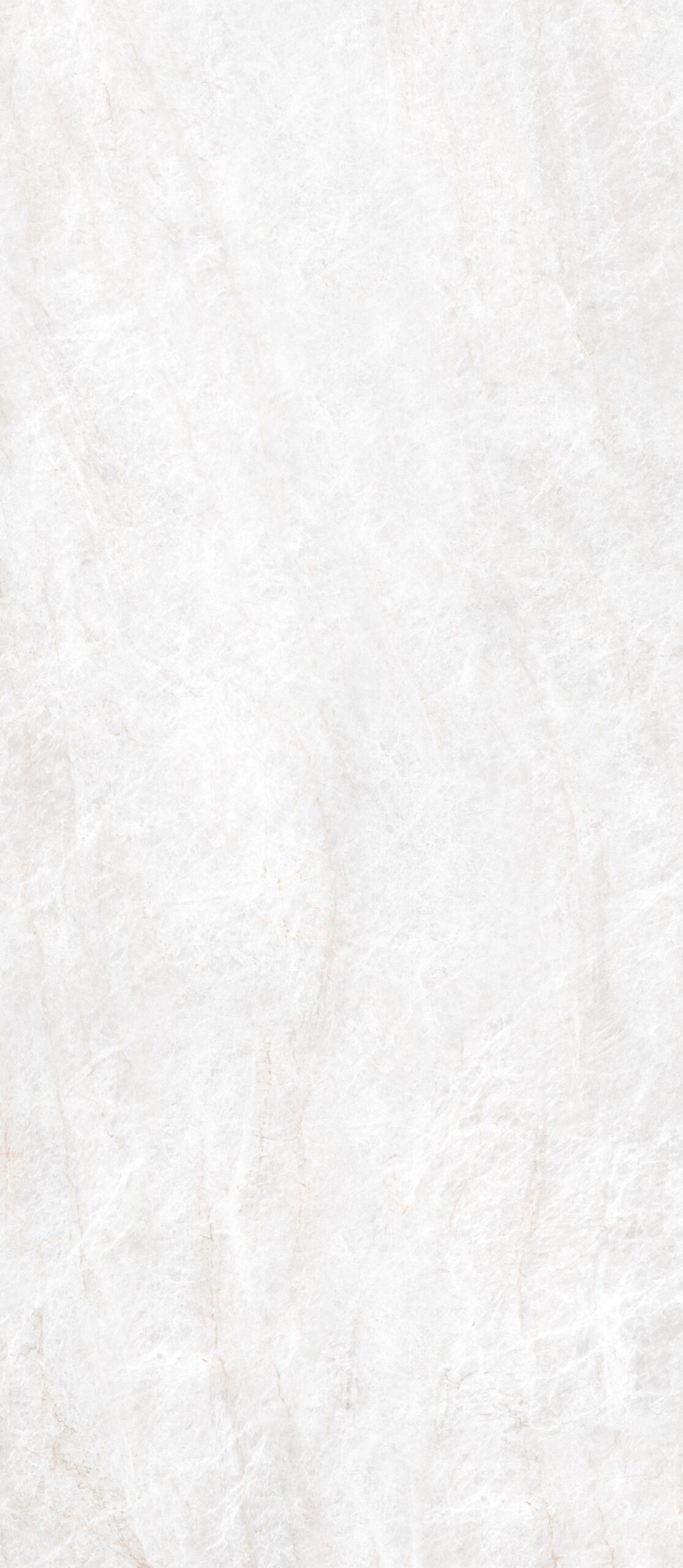 ENERGIEKER LCP TAJ MAHAL SHELL 60x120