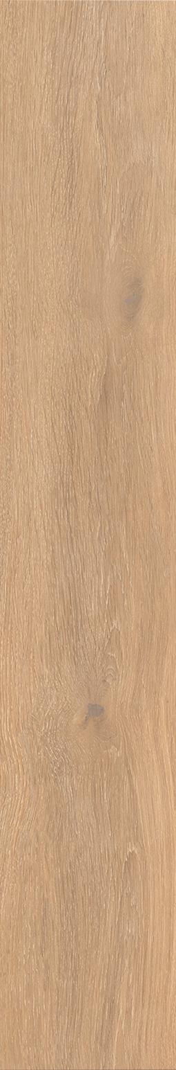 CAESAR-COCOON-GLEE-ARCH